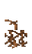 Attached Stem Age 15 JE2.png