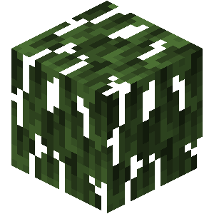 minecraft leaf texture