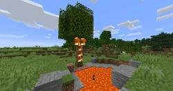 Este árbol generado justo al lado de una piscina de lava natural que comenzó a arder poco después de haber aparecido.