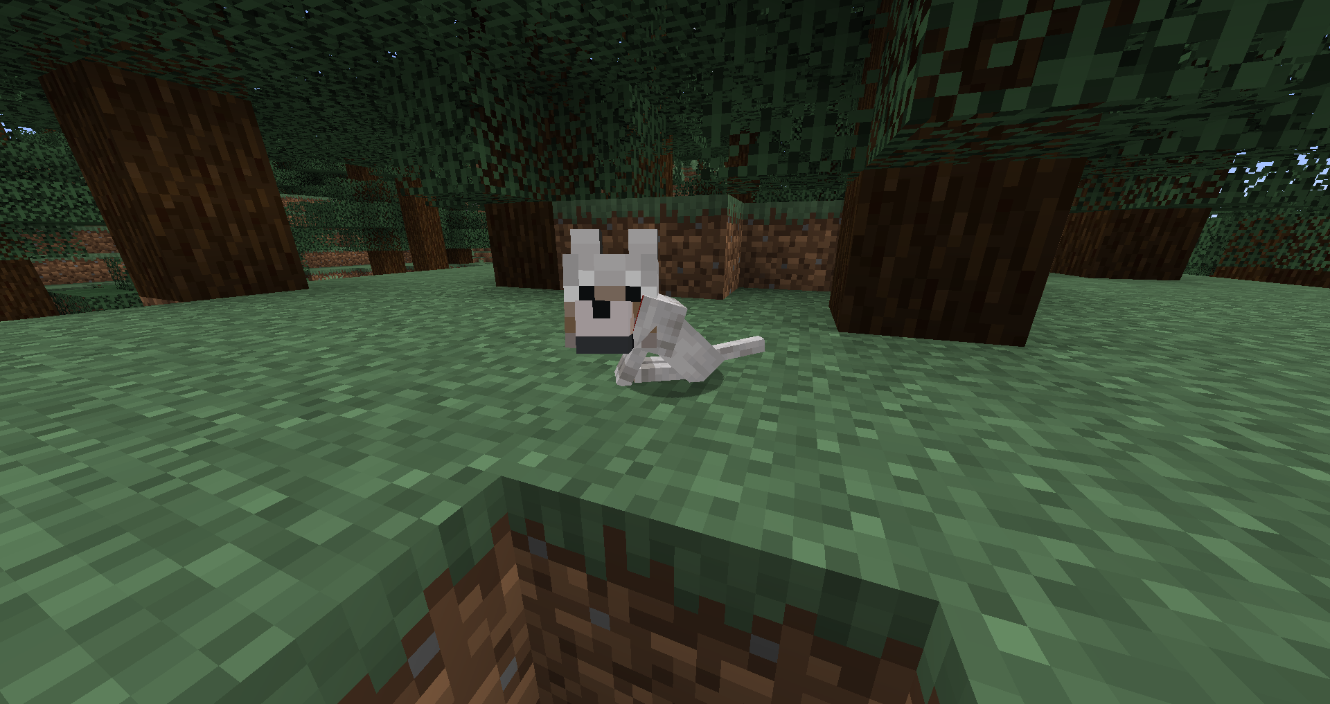 minecraft baby wolf