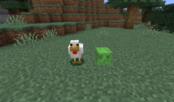 Chicken – Minecraft Wiki