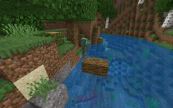 A fallen oak where most of the logs are floating directly above a river.