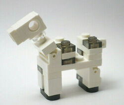 Skeleton Horse Official Minecraft Wiki