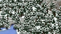 Naturally generated snow in a snowy taiga biome.