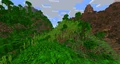 Bamboo Jungle biome.