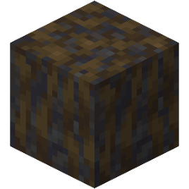 Muddy Mangrove Roots