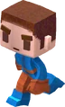 Steve.