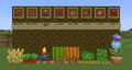 All the seeds that exist in the game (except seeds from 1.20, nether wart and cocoa beans).