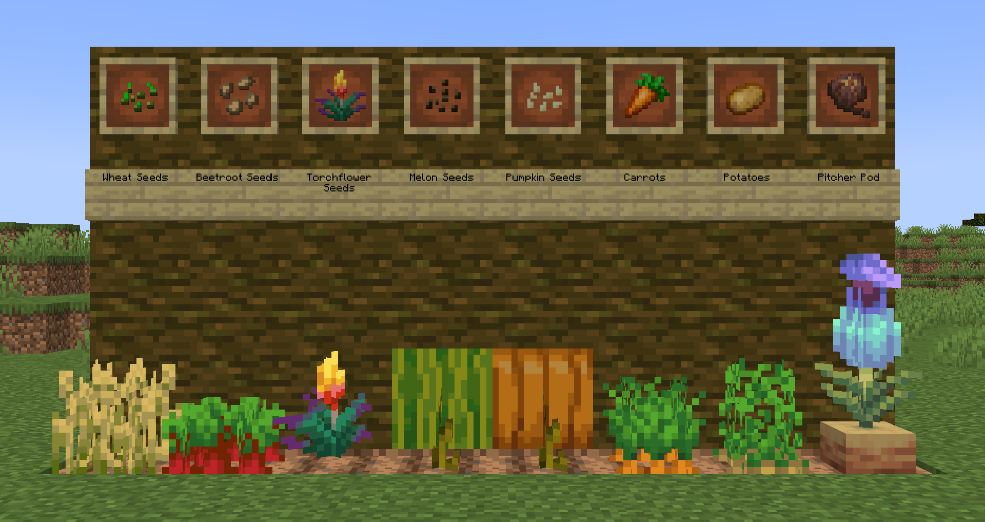 What is the title of this picture ? Carrot – Official Minecraft Wiki