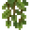 Cave Vines (texture) JE1.png