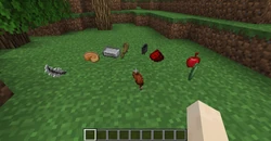 Items