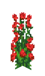 Rose Bush JE4 BE3