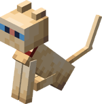 Sitting Tamed Baby Persian Cat with Red Collar