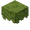 Azalea