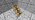 Powered Rail (Ew) JE1 BE1