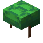 Turtle Shell.png