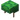 Turtle Shell