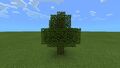 A dying tree in a Pocket Edition.