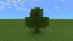 A dying tree in a Pocket Edition.