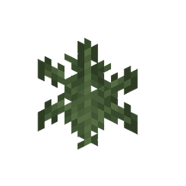 Fern