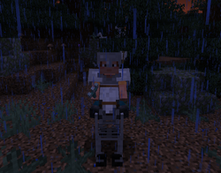 Skeleton Horse Official Minecraft Wiki