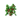 Oak Sapling JE8 move