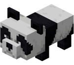 Baby Panda (Dungeons)