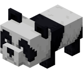 Baby Panda (Dungeons)