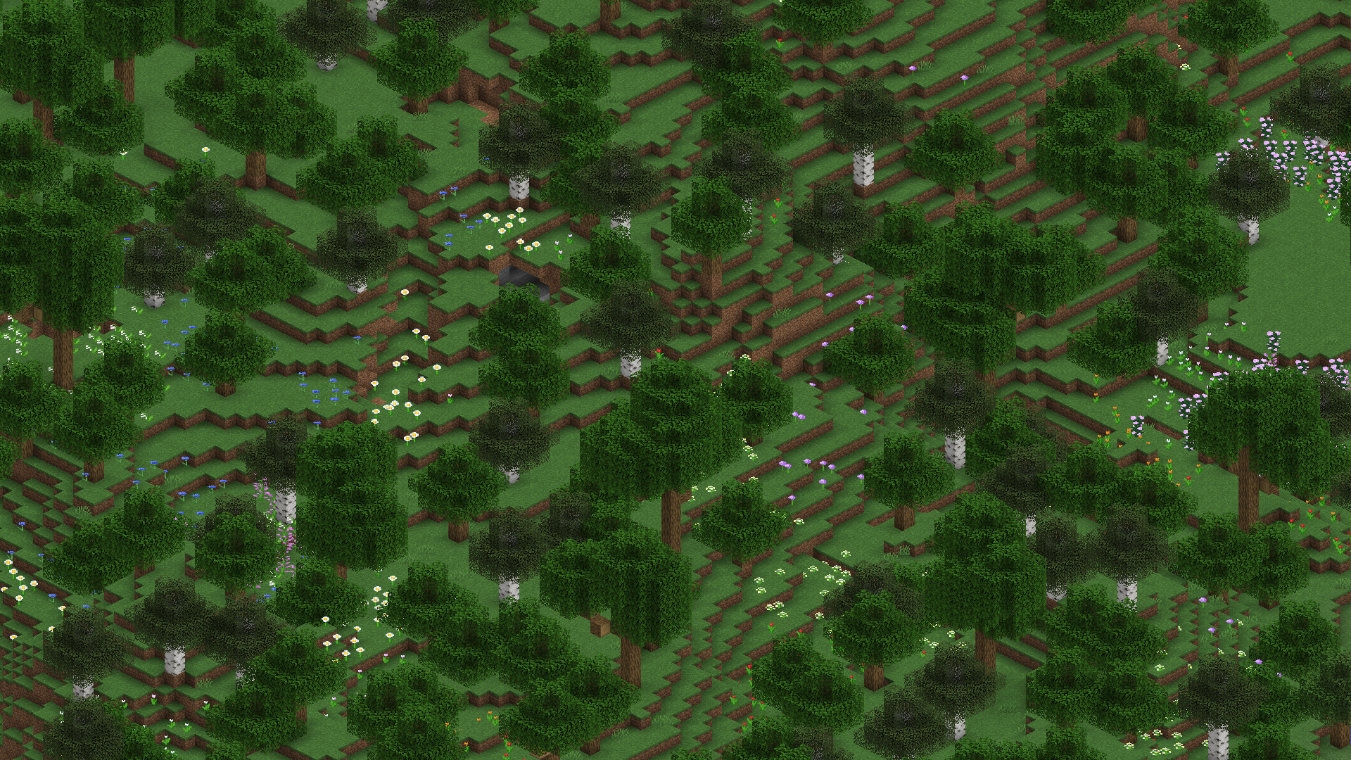 Forest – Minecraft Wiki