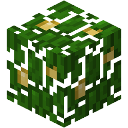 Old Legacy Console Edition's jungle leaves. This texture was also shown in the old Bedrock Edition's inventory sprite.