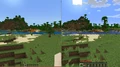 An extremely small desert biome in java and bedrock.