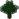 Oak BE1