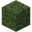 Birch Leaves (fast) JE2.png