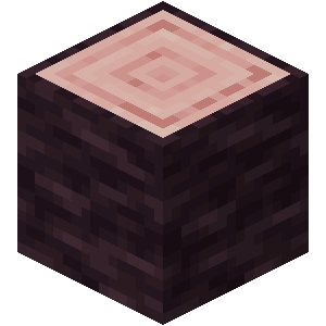 I made Minecraft Block Facts skin in REAL LIFE 