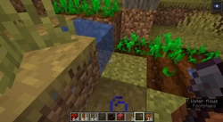 A block of water, which is not flowing because of a glitch, besides a village farm.