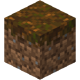 Podzol