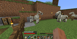 Skeleton Horse Minecraft Wiki