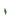 Stem Age 10 JE2