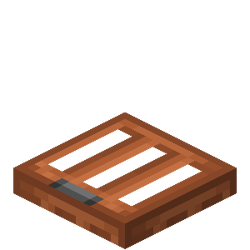 Acacia Trapdoor