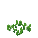 Beetroots Age 1
