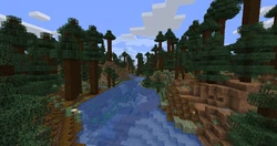 A river in an old growth taiga.