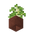 Potted Birch Sapling UNKVER1 (facing NWU).png
