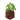 Potted Birch Sapling UNKVER1 (facing NWU)
