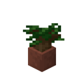 Potted Dark Oak Sapling.png