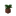 Potted Dark Oak Sapling JE4.png