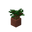 Potted Dark Oak Sapling JE4.png