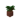 Potted Dark Oak Sapling JE4