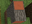 Acacia log texture update preview.png