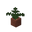 Forest Potted Fern.png