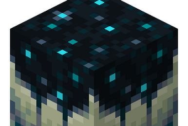 23468624084_3